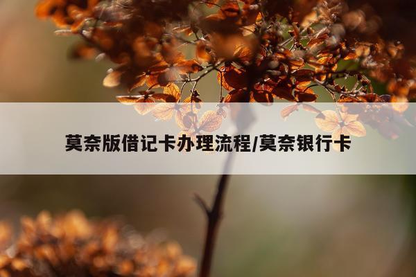 莫奈版借记卡办理流程/莫奈银行卡