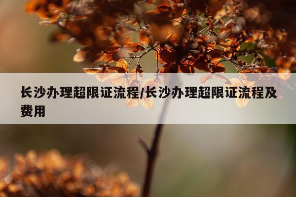 长沙办理超限证流程/长沙办理超限证流程及费用
