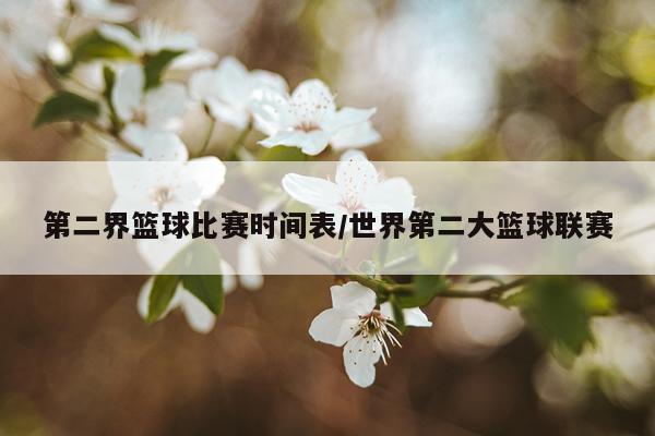 第二界篮球比赛时间表/世界第二大篮球联赛