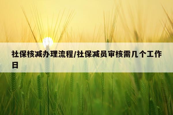 社保核减办理流程/社保减员审核需几个工作日