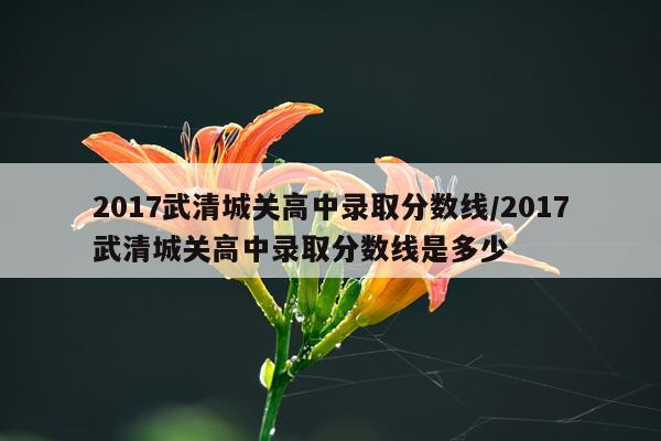2017武清城关高中录取分数线/2017武清城关高中录取分数线是多少