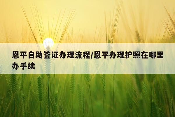 恩平自助签证办理流程/恩平办理护照在哪里办手续