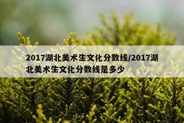 2017湖北美术生文化分数线/2017湖北美术生文化分数线是多少