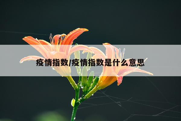 疫情指数/疫情指数是什么意思