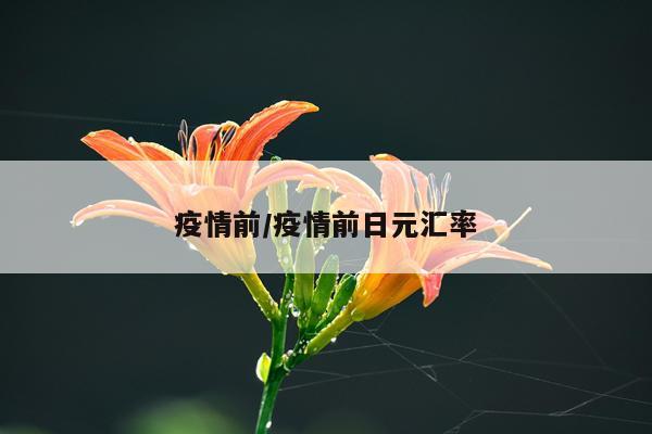 疫情前/疫情前日元汇率