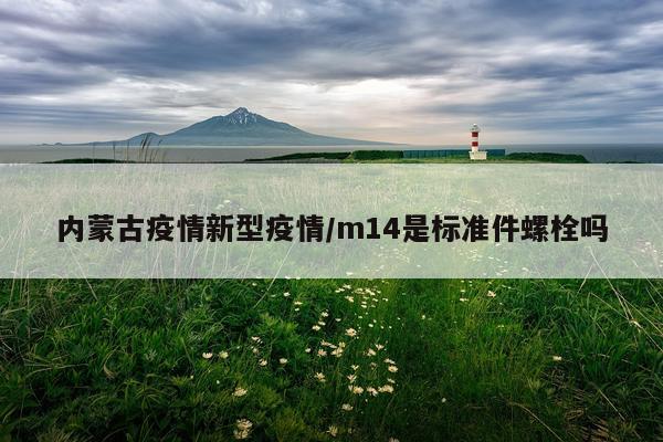 内蒙古疫情新型疫情/m14是标准件螺栓吗