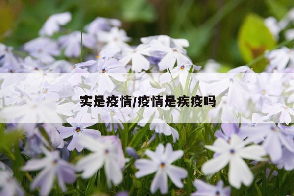 实是疫情/疫情是疾疫吗
