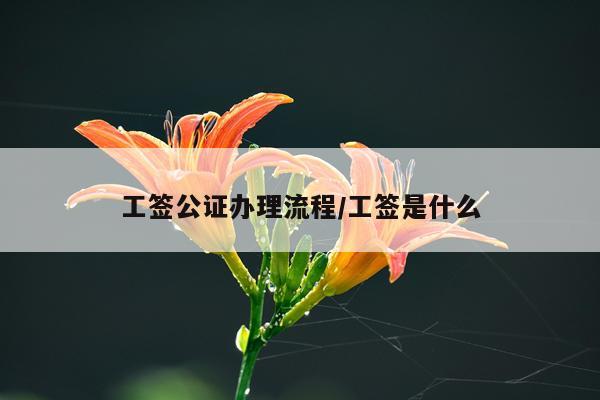 工签公证办理流程/工签是什么