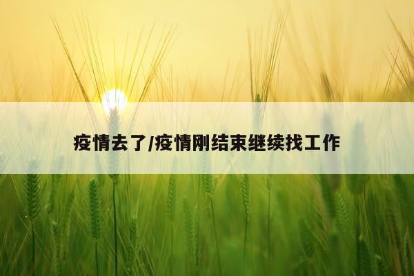 疫情去了/疫情刚结束继续找工作
