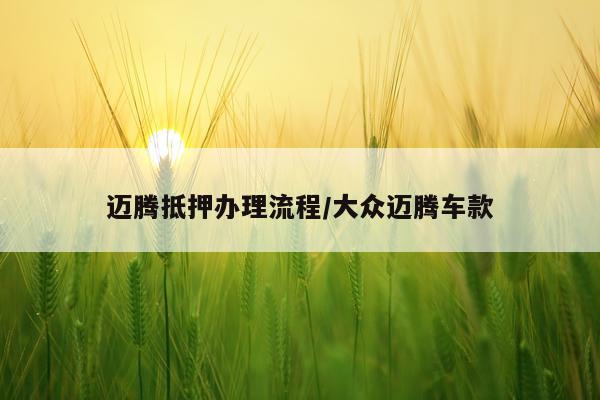 迈腾抵押办理流程/大众迈腾车款