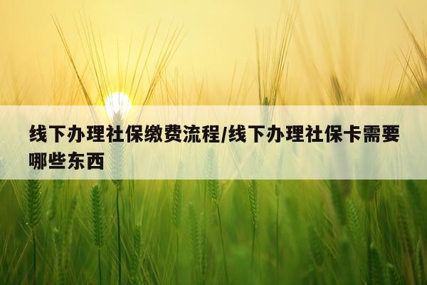 线下办理社保缴费流程/线下办理社保卡需要哪些东西