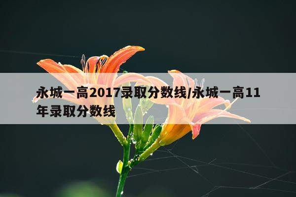 永城一高2017录取分数线/永城一高11年录取分数线