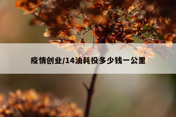 疫情创业/14油耗投多少钱一公里