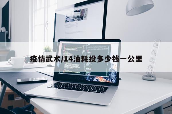 疫情武术/14油耗投多少钱一公里
