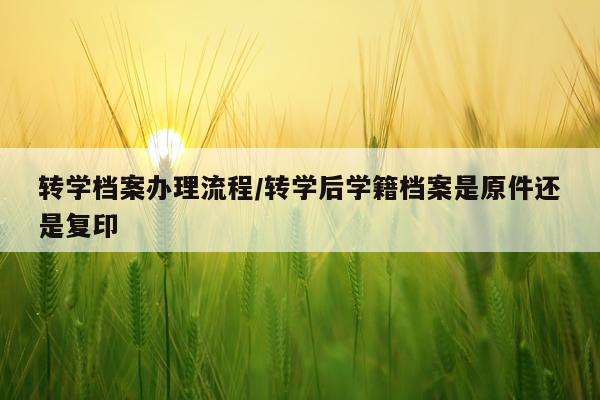 转学档案办理流程/转学后学籍档案是原件还是复印