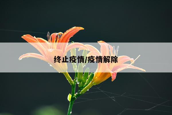 终止疫情/疫情解除