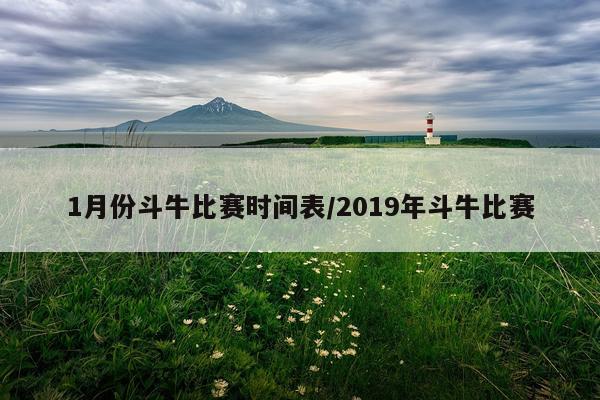 1月份斗牛比赛时间表/2019年斗牛比赛