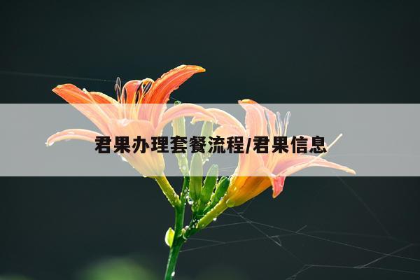 君果办理套餐流程/君果信息
