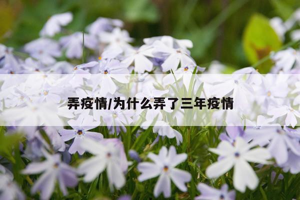弄疫情/为什么弄了三年疫情