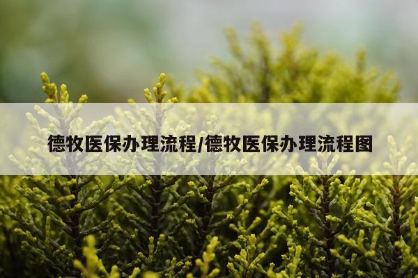 德牧医保办理流程/德牧医保办理流程图