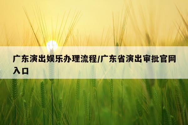 广东演出娱乐办理流程/广东省演出审批官网入口