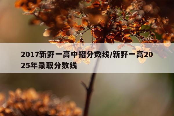 2017新野一高中招分数线/新野一高2025年录取分数线