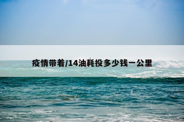 疫情带着/14油耗投多少钱一公里