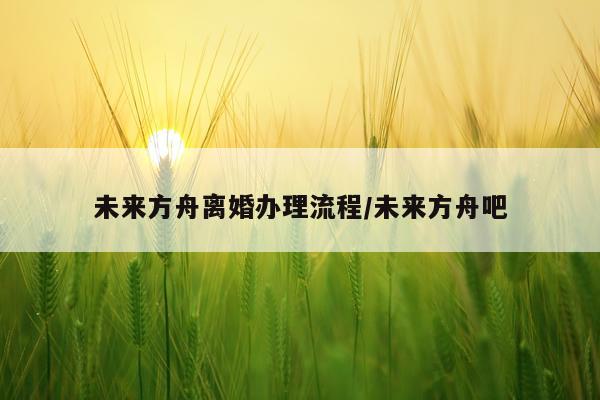 未来方舟离婚办理流程/未来方舟吧