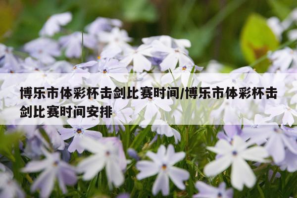 博乐市体彩杯击剑比赛时间/博乐市体彩杯击剑比赛时间安排