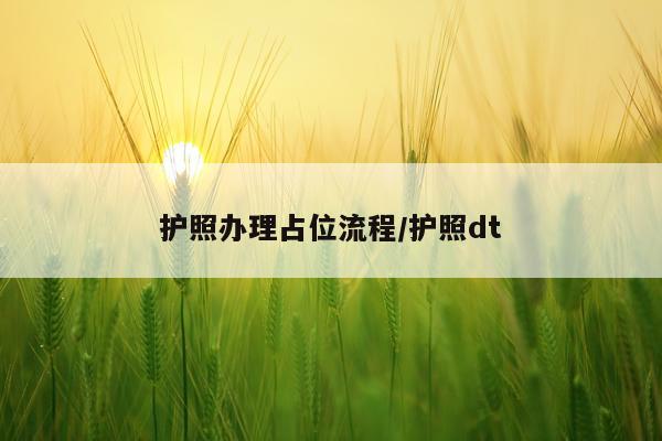 护照办理占位流程/护照dt