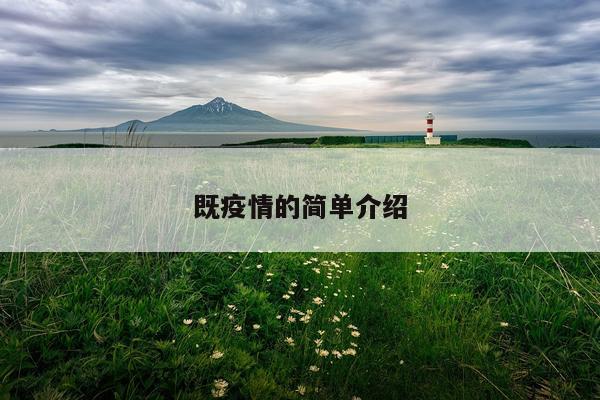 既疫情的简单介绍