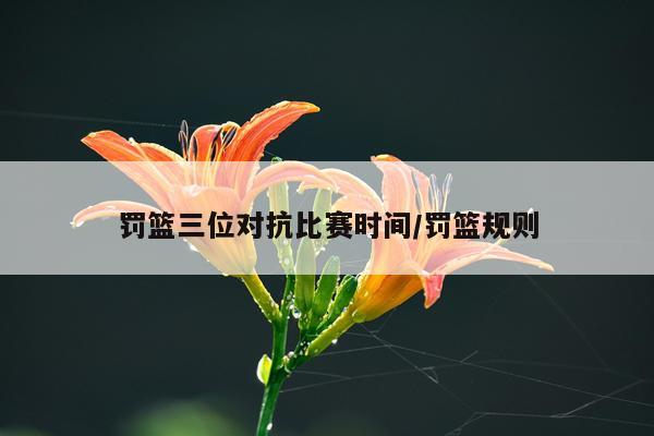 罚篮三位对抗比赛时间/罚篮规则