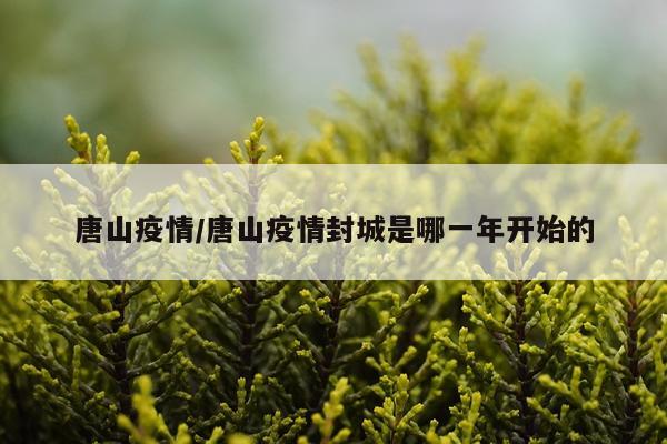 唐山疫情/唐山疫情封城是哪一年开始的