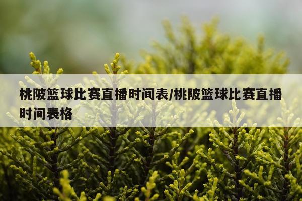 桃陂篮球比赛直播时间表/桃陂篮球比赛直播时间表格