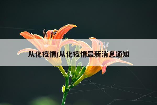 从化疫情/从化疫情最新消息通知