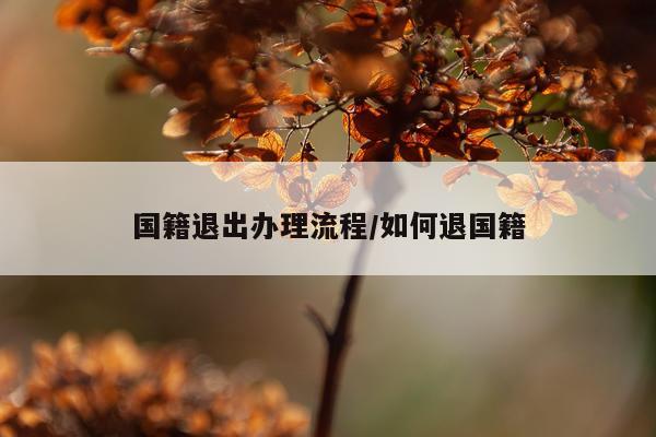 国籍退出办理流程/如何退国籍
