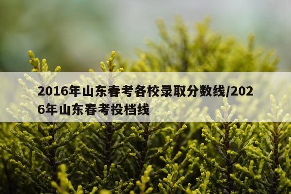 2016年山东春考各校录取分数线/2026年山东春考投档线