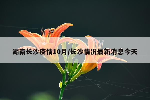 湖南长沙疫情10月/长沙情况最新消息今天