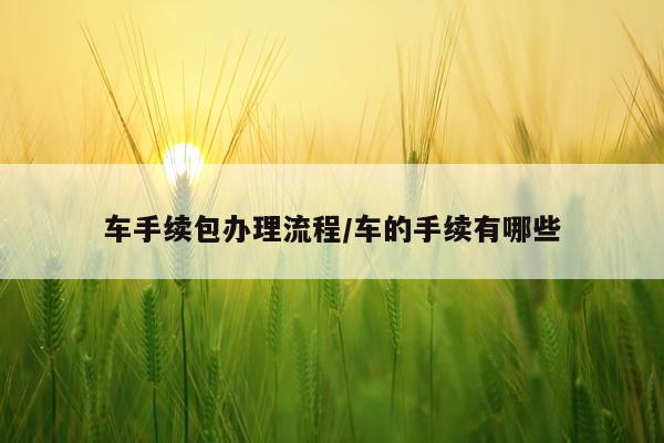 车手续包办理流程/车的手续有哪些