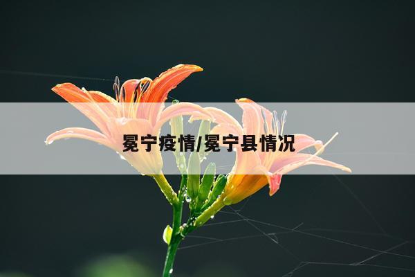 冕宁疫情/冕宁县情况