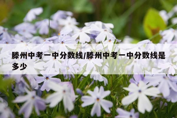 滕州中考一中分数线/滕州中考一中分数线是多少