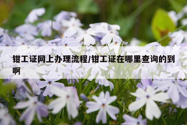 钳工证网上办理流程/钳工证在哪里查询的到啊
