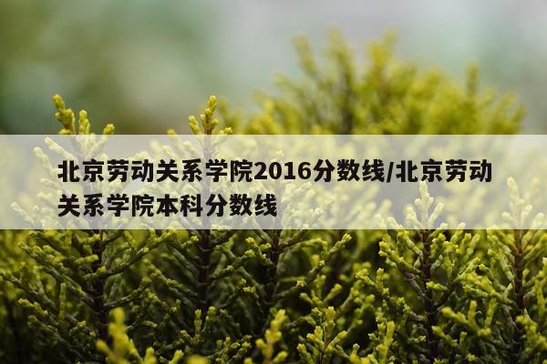 北京劳动关系学院2016分数线/北京劳动关系学院本科分数线