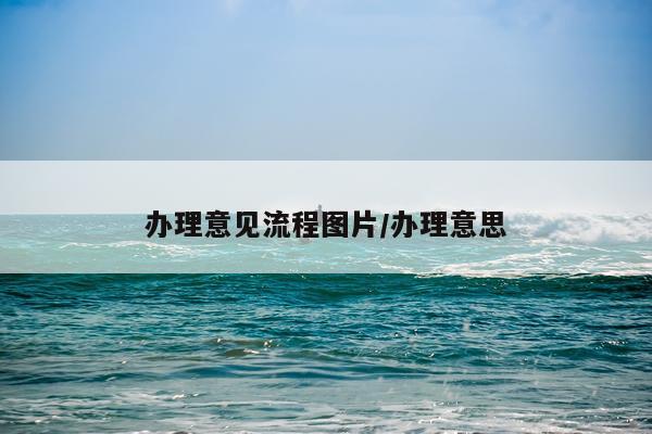 办理意见流程图片/办理意思