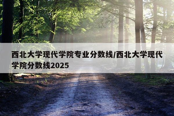 西北大学现代学院专业分数线/西北大学现代学院分数线2025