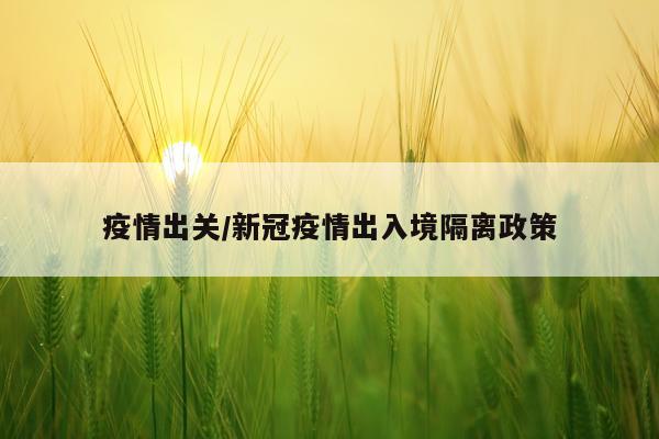 疫情出关/新冠疫情出入境隔离政策