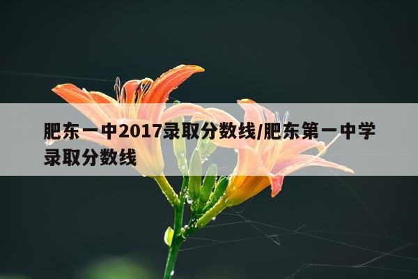 肥东一中2017录取分数线/肥东第一中学录取分数线