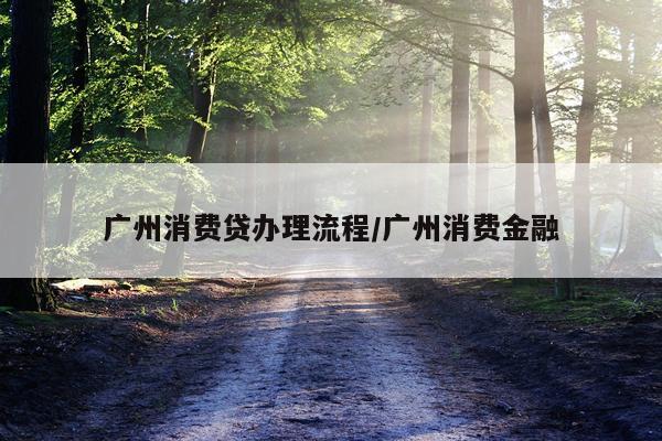 广州消费贷办理流程/广州消费金融