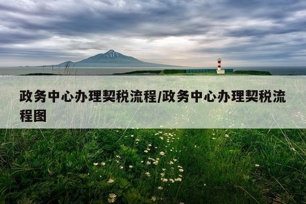 政务中心办理契税流程/政务中心办理契税流程图