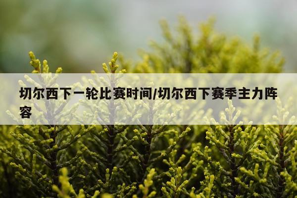 切尔西下一轮比赛时间/切尔西下赛季主力阵容